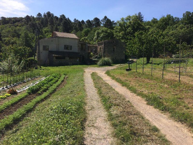 Deux Chambres D Hotes Attenantes Avec Salon Salle A Manger Privatif En Cevennes Gardoises Saint-Jean-du-Gard Eksteriør bilde